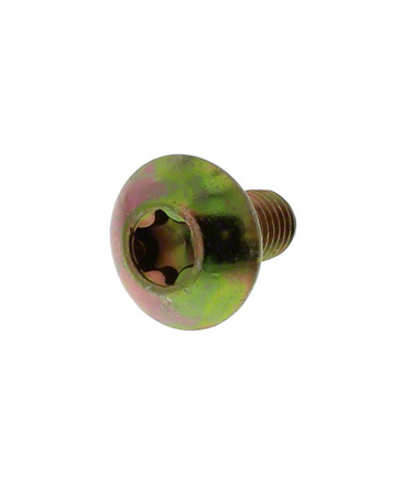 86615134-N -- Button Head Torx Bolt -- (Z-1225-TX)